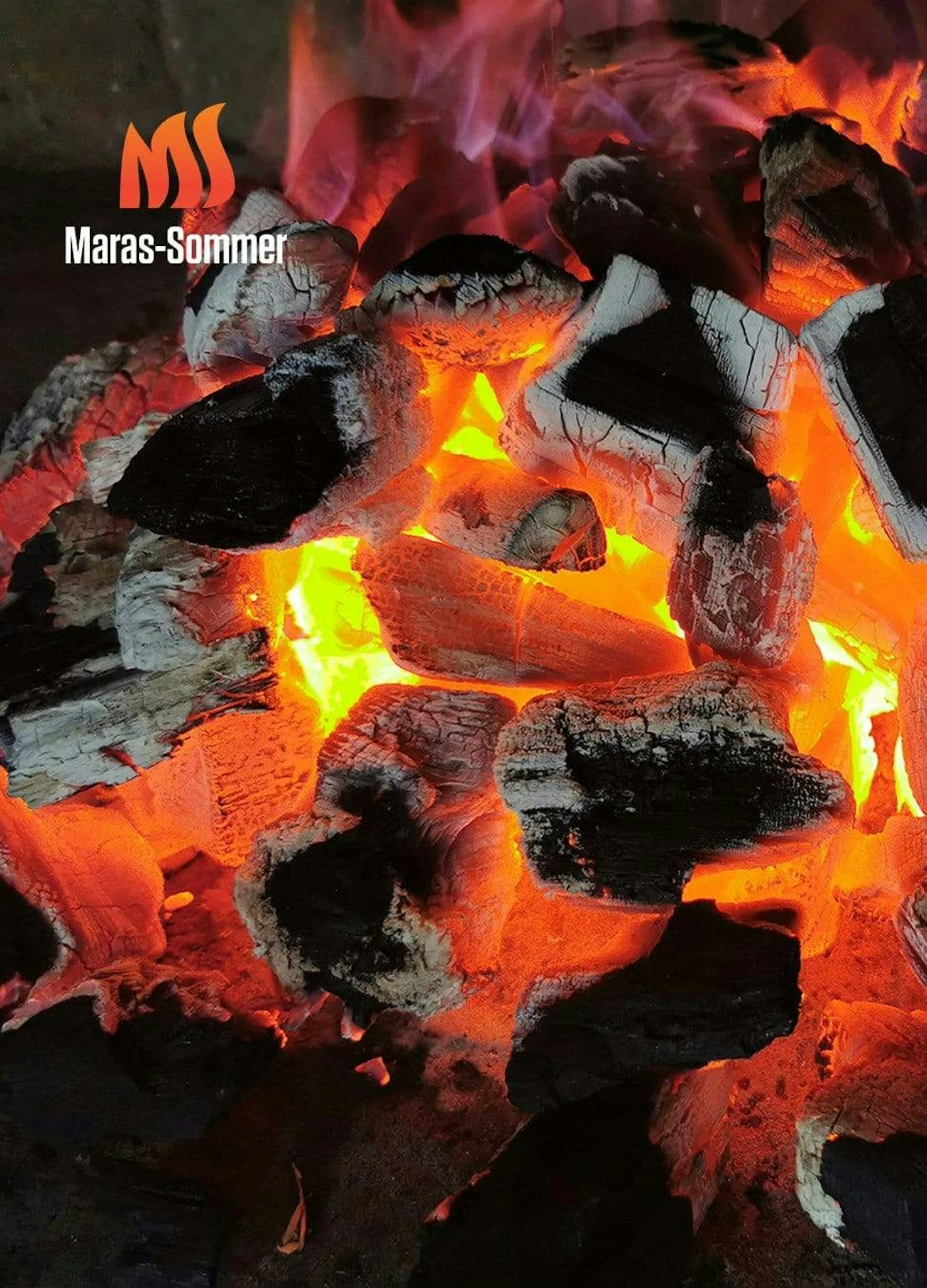 Big Green Egg Woody Holzkohle Aus Buchenholz 10 Kg – Bild 3