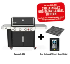 Weber Genesis E-435 Gasgrill